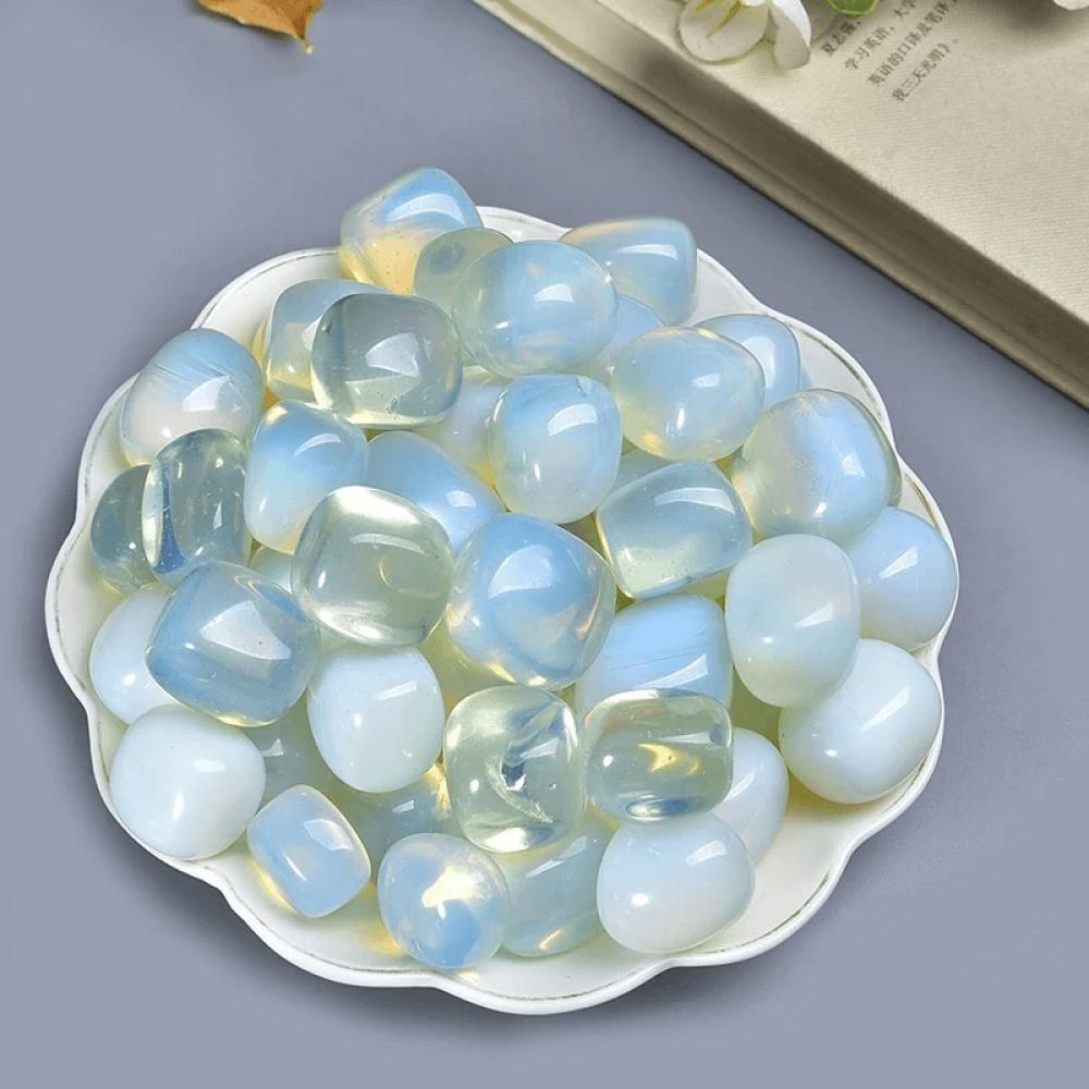 my-11134207-7rasb-m935hz3zj704c2