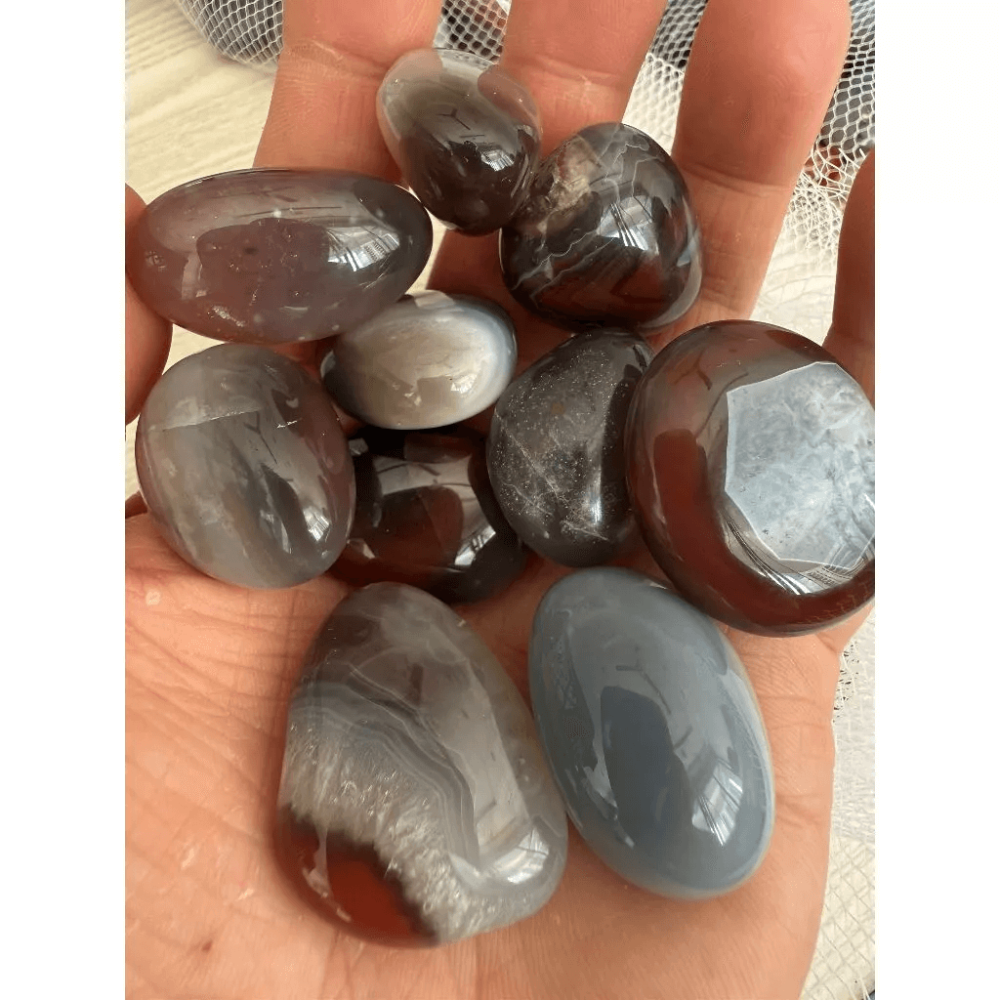 my-11134207-7rasg-mcdm4i7lzdnx56