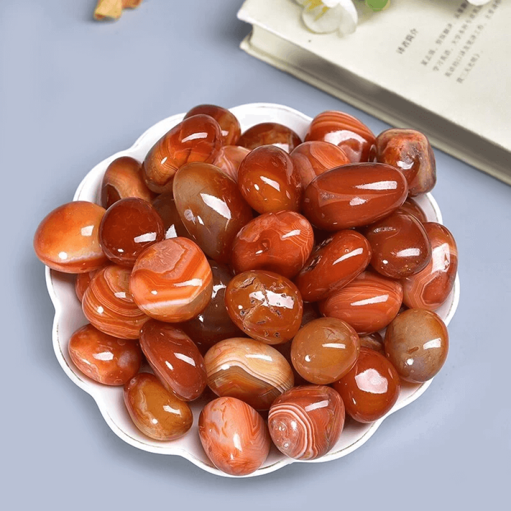 my-11134207-7rash-m92y0a7df1ts7e