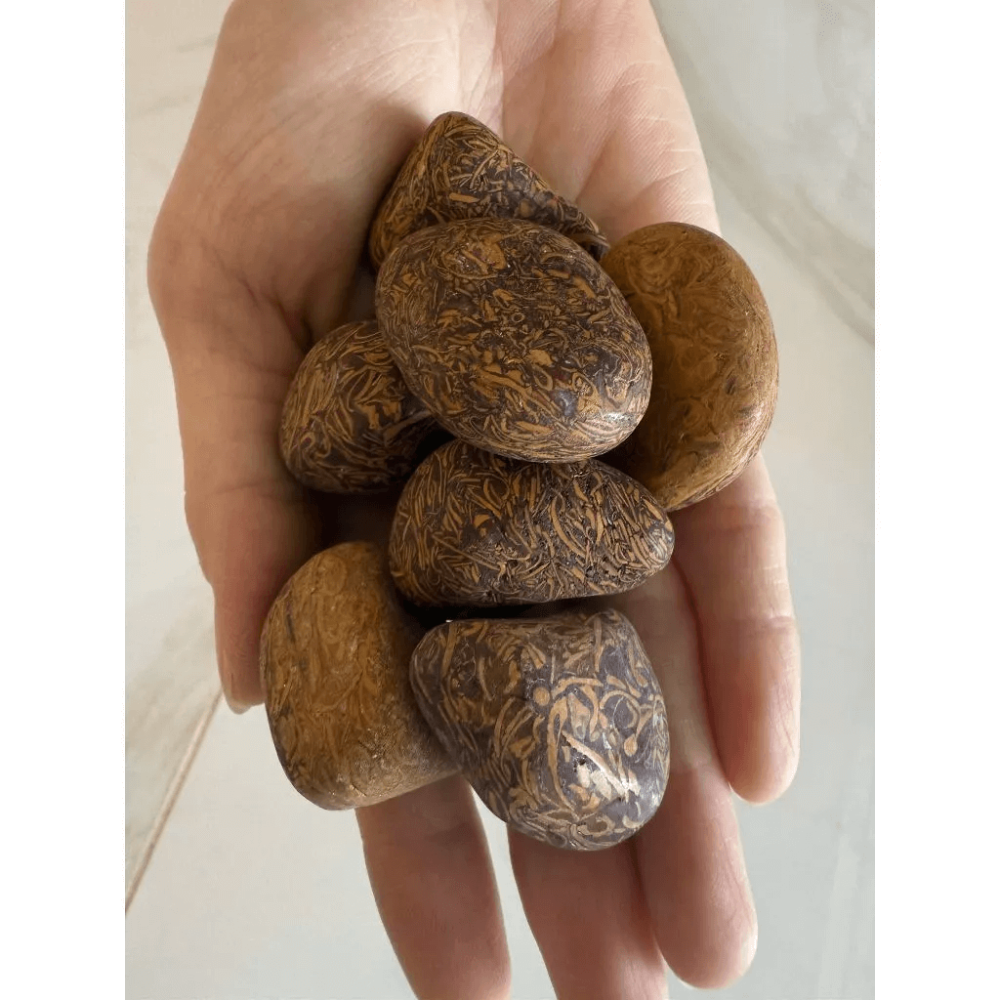 my-11134207-820la-meoccj7wjzt31d